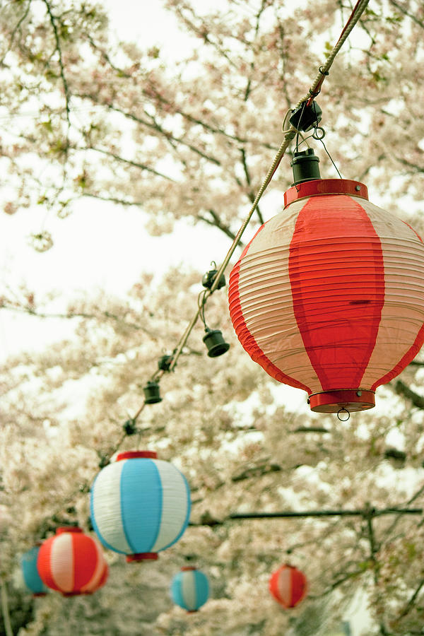 Hanging Lanterns Photograph by Masahiro Makino