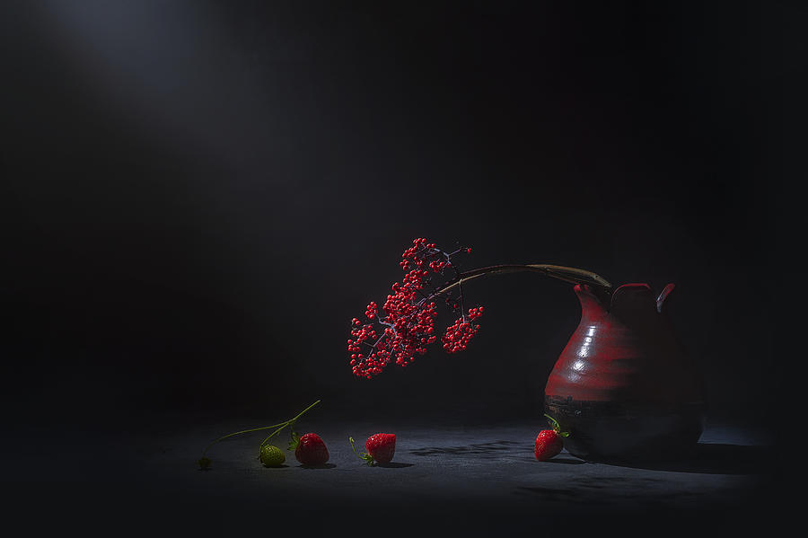 Strawberry Photograph - Hanging Out by Lydia Jacobs