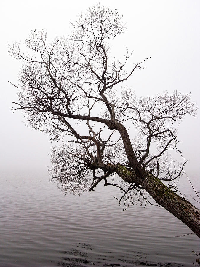 Hanging over water by Anders Kustas Hanging over water by Anders Kustas