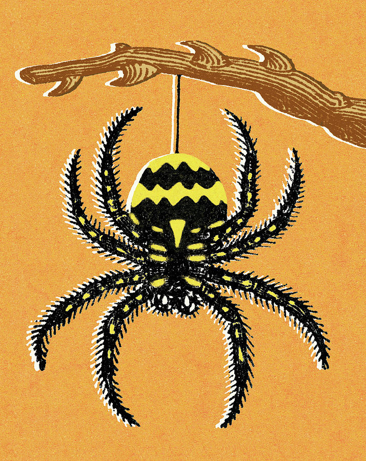 Halloween Drawing - Hanging Spider by CSA Images