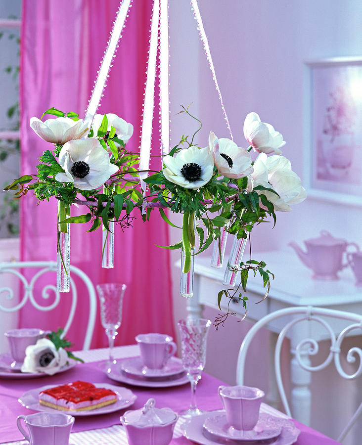 Hanging Table Decoration With White Anemone Coronaria crown Anemone Photograph by Friedrich Strauss