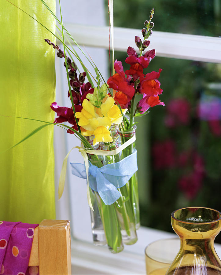 Hanging Test Tubes With Yellow And Red Snapdragons Photograph by Friedrich Strauss