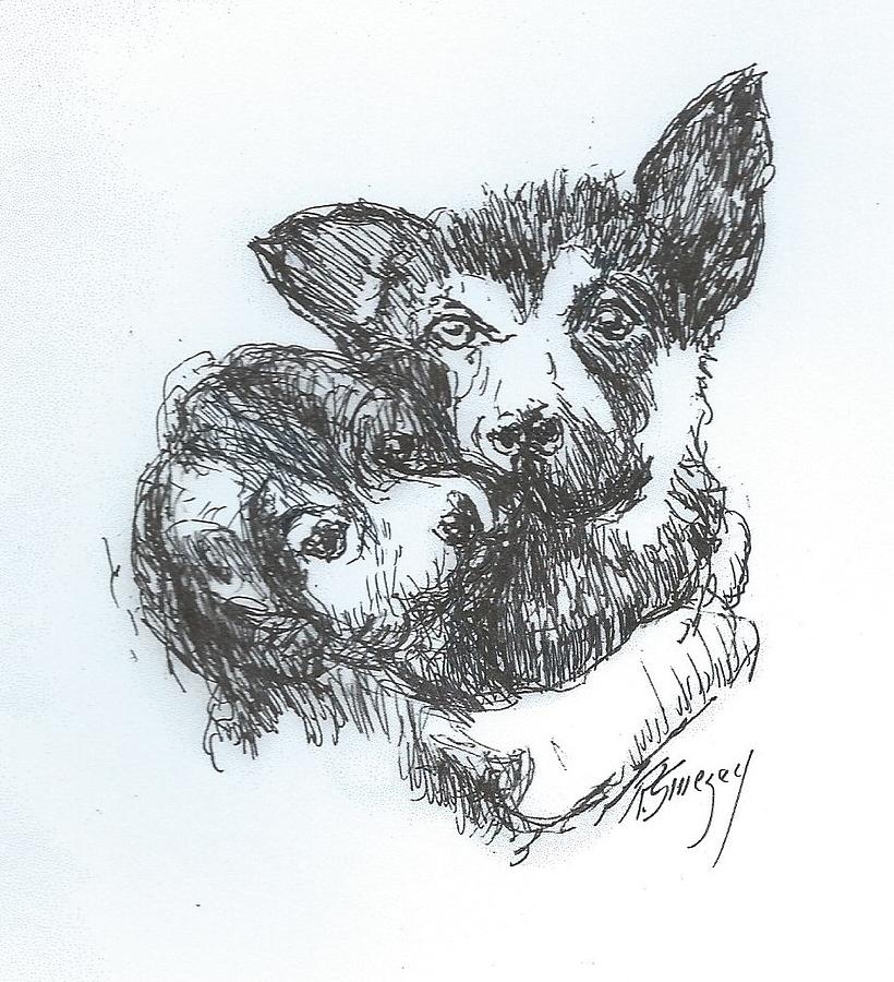 Hannah and Mr. Darcy Drawing by Roger Swezey