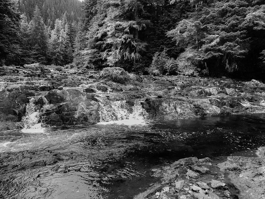 Hanus Bay Cutthroat Trout Fy Fishing Stream, Baranof Island, AK ...