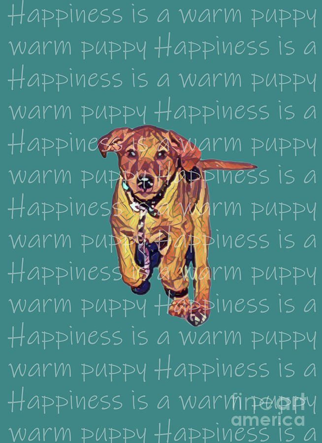 Happiness is a warm puppy I Digital Art by Jackie MacNair
