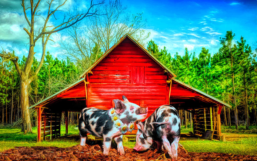 Happiness on the Farm Digital Art by Debra and Dave Vanderlaan
