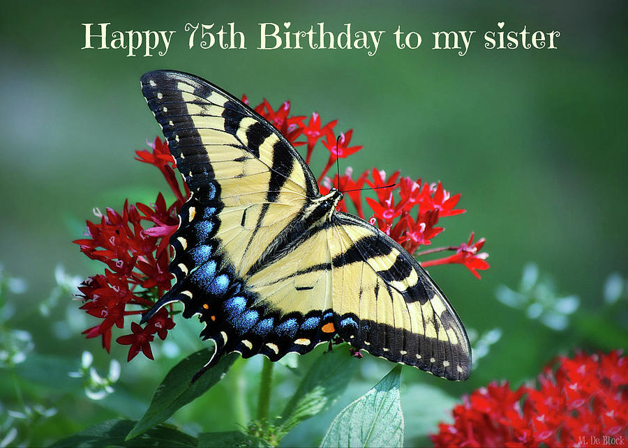 Happy 75th Birthday to my Sister Photograph by Marilyn DeBlock
