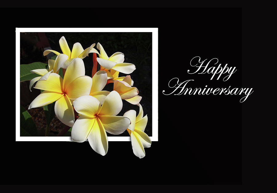 Happy Anniversary by Jacqueline Sleter Happy Anniversary by Jacqueline Sleter