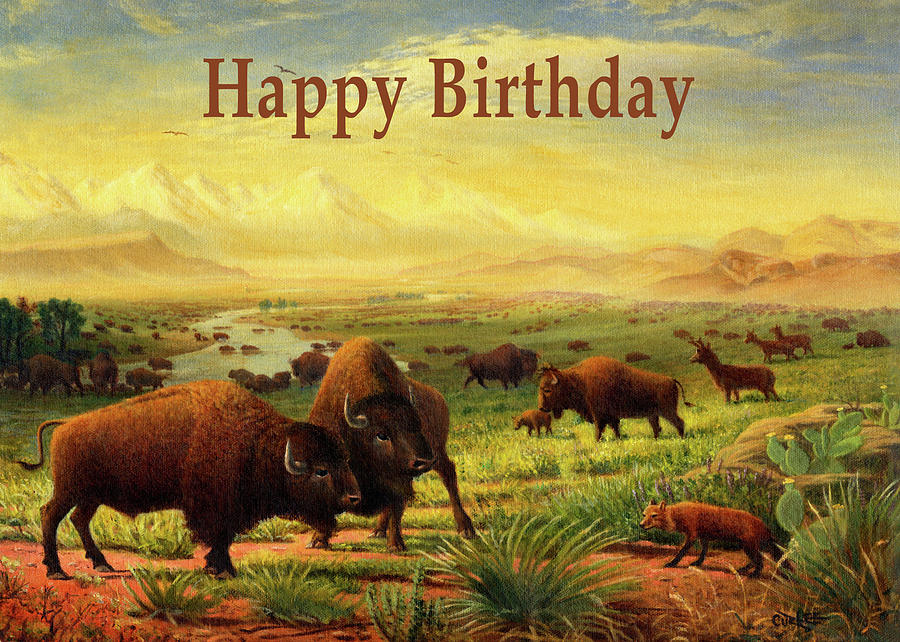 Happy Birthday Greeting Card - Buffalo Great Plains Prairie Western ...