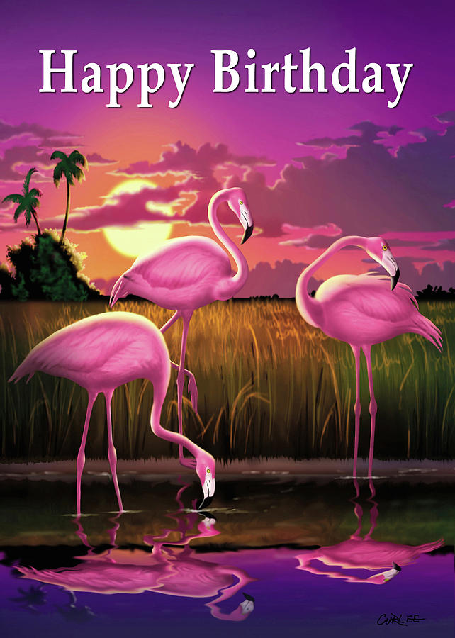 Happy Birthday Flamingo Youtube