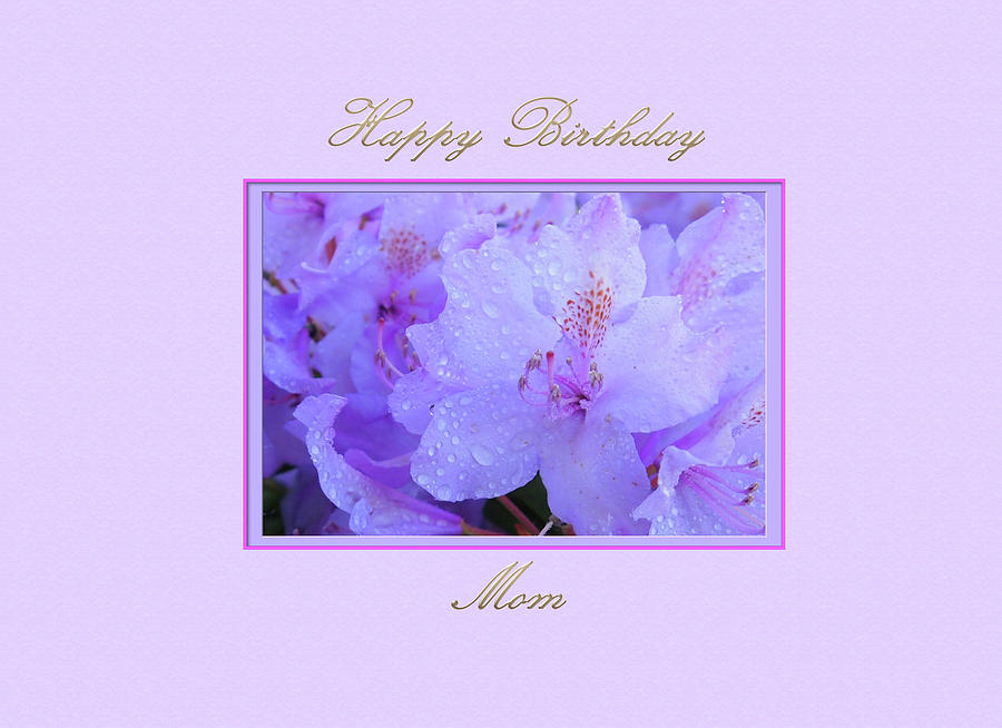 Happy Birthday to my Mom with Purple Hydrangeas by Jacqueline Sleter Happy Birthday to my Mom with Purple Hydrangeas by Jacqueline Sleter