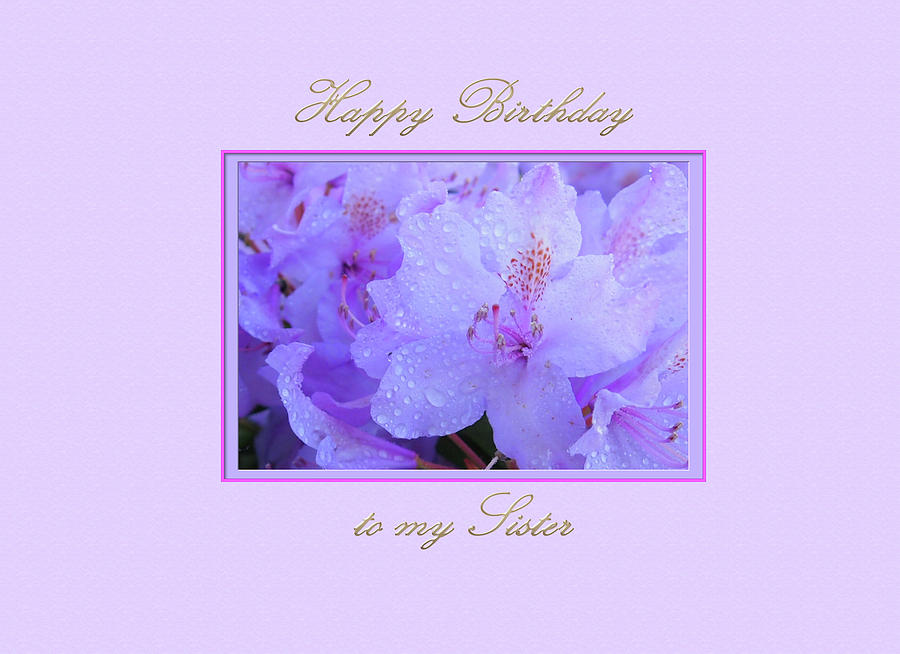 Happy Birthday to my Sister with Purple Hydrangeas by Jacqueline Sleter Happy Birthday to my Sister with Purple Hydrangeas by Jacqueline Sleter