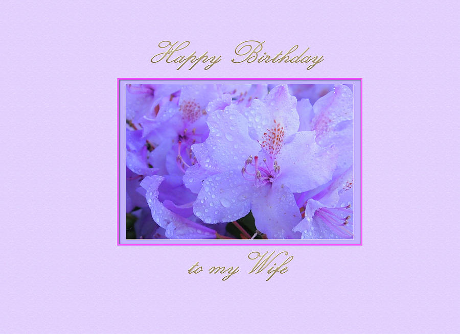 Happy Birthday to my Wife with Purple Hydrangeas by Jacqueline Sleter Happy Birthday to my Wife with Purple Hydrangeas by Jacqueline Sleter
