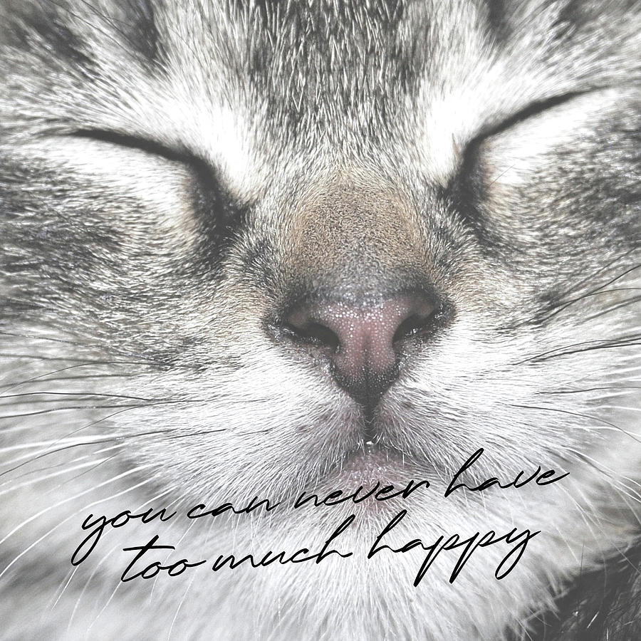 HAPPY CAT quote Photograph by Jamart Photography
