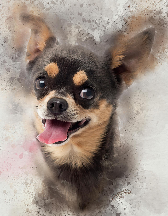 Long Haired Chihuahua Jigsaw Puzzle by John Guthrie - Pixels