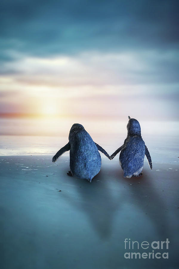 Penguin Photograph - Happy Feet by Evelina Kremsdorf