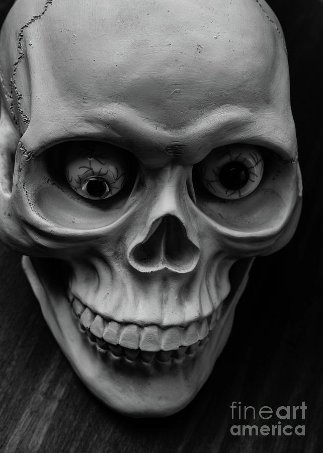 Halloween Photograph - Happy Halloween October Skull by Edward Fielding