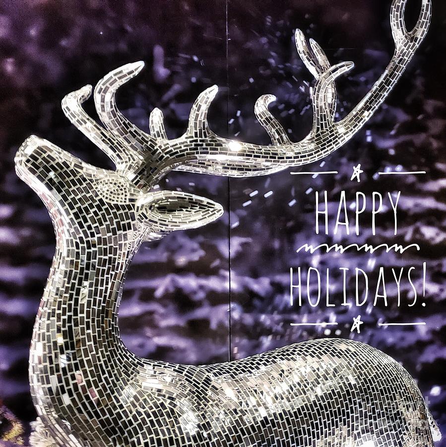 Happy Holiday Sparkle Photograph by Mary Capriole