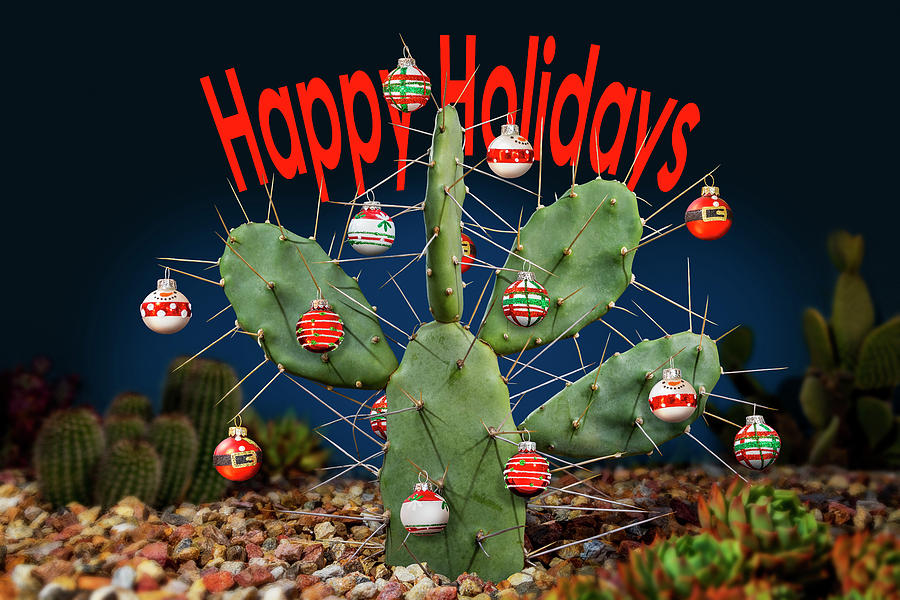Happy Holidays Cactus Balls Photograph by Kelley King