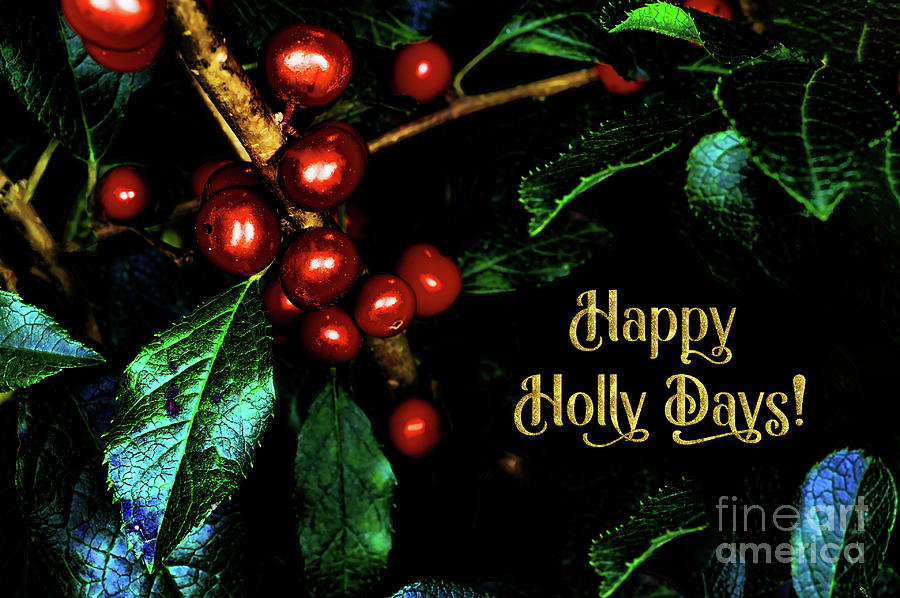Happy Holly Days Photograph by Anita Pollak