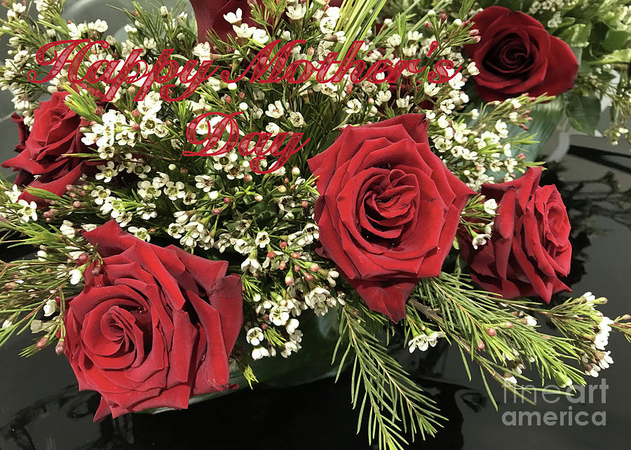 Happy Mother's Day Roses Photograph by Dominique Fortier - Fine Art America