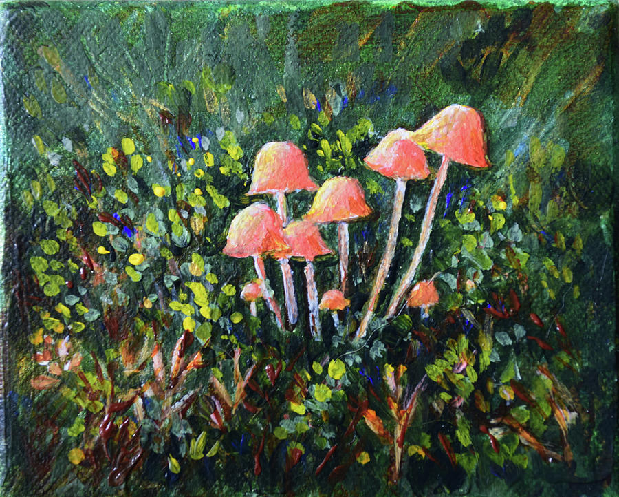 Happy Mushrooms by Alexis Baranek Happy Mushrooms by Alexis Baranek