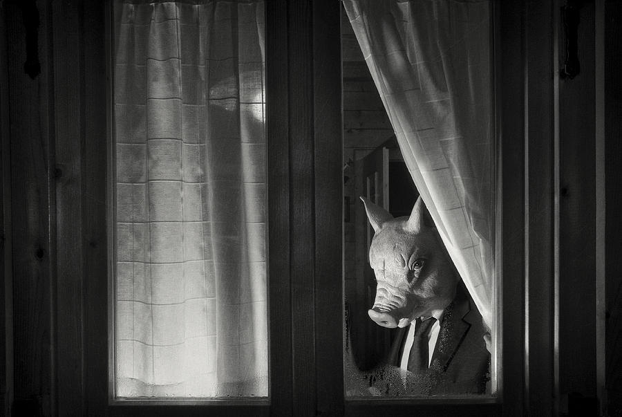 Black And White Photograph - Happy New Year (from Mr Pig) by Stefano Miserini