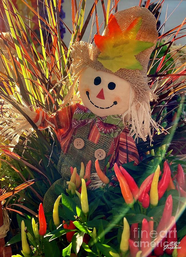 Happy Scarecrow  Photograph by CAC Graphics