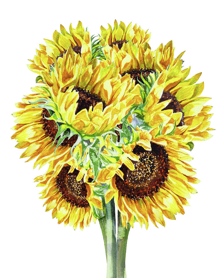 Happy Sunny Bunch Of Watercolor Sunflowers Painting