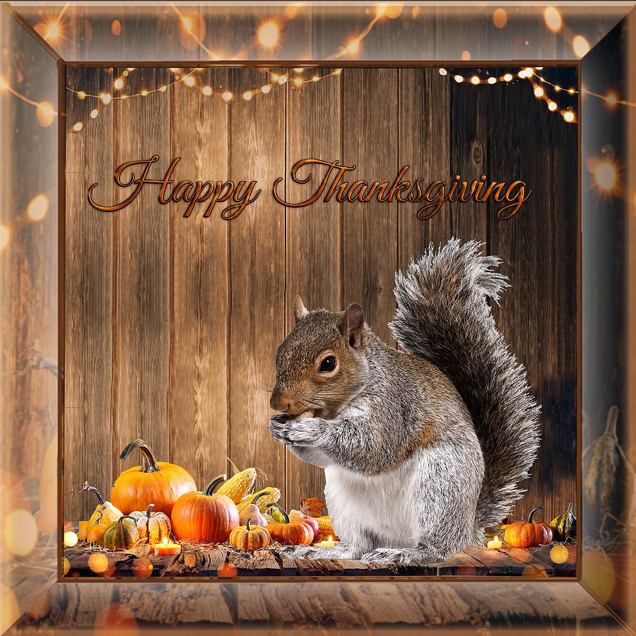 Image result for thanksgiving squirrel