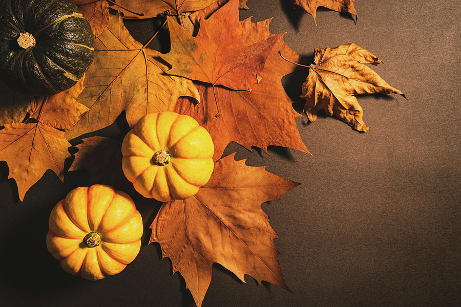 https://images.fineartamerica.com/images/artworkimages/mediumlarge/2/happy-thanksgiving-day-with-pumpkin-and-maple-leaves-cavan-images.jpg
