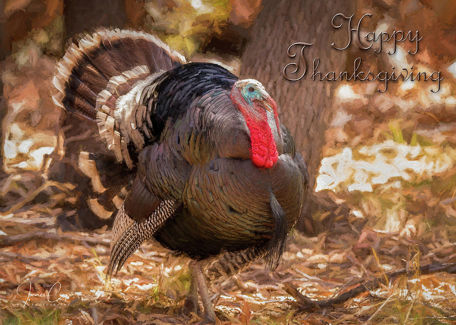 Happy Thanksgiving Photograph by James Capo