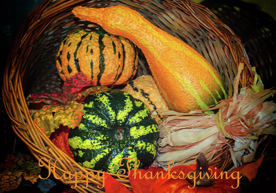 Thanksgiving Photograph - Happy Thanksgiving by Tikvahs Hope