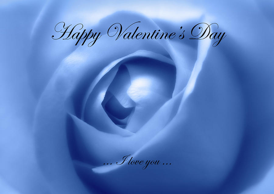 Happy Valentines Day With Soft Blue Rose Photograph by Johanna Hurmerinta