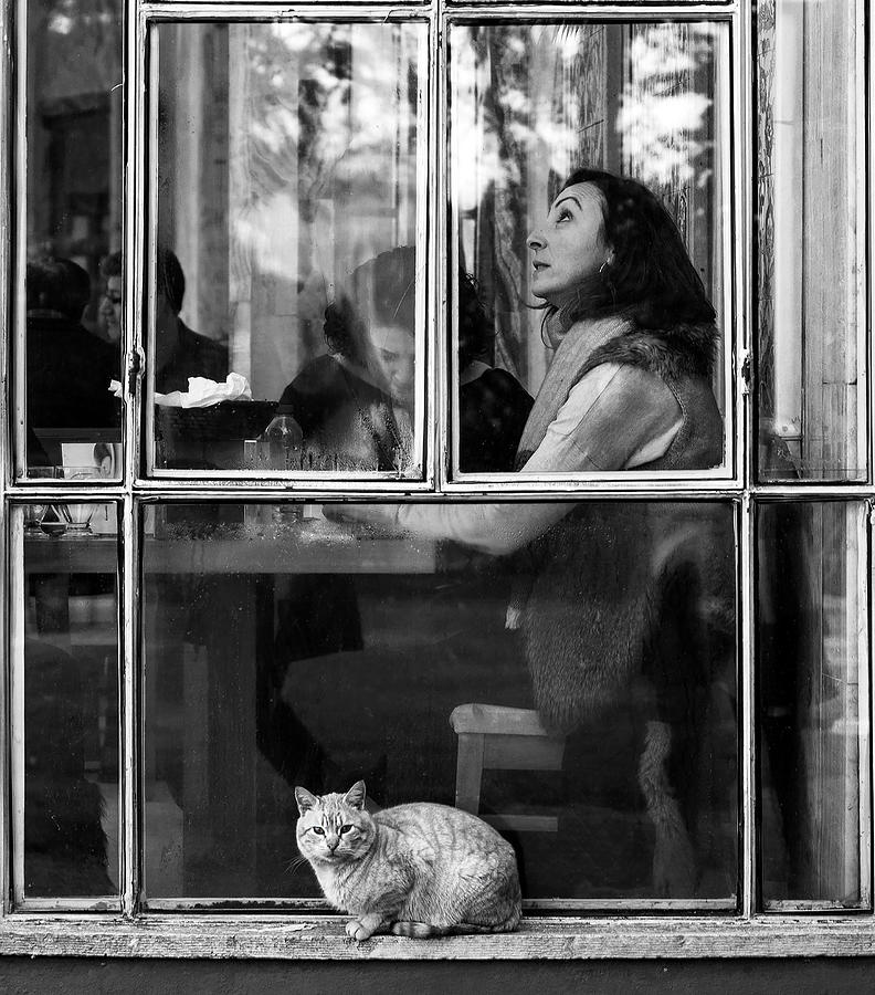 Black And White Photograph - Happy Window by Nihal Eken