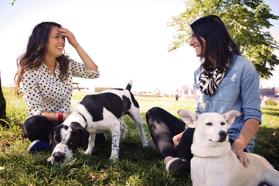 Happy Women With Dogs Talking While Resting On Grassy Field At Park ...