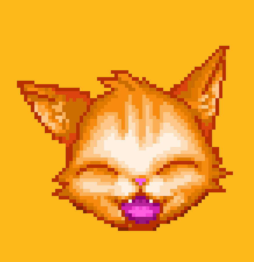 Pixilart - Orange Pixel Cat by Tygur8v