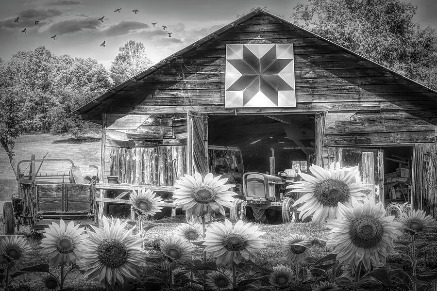 Happydaze Black and White Photograph by Debra and Dave Vanderlaan