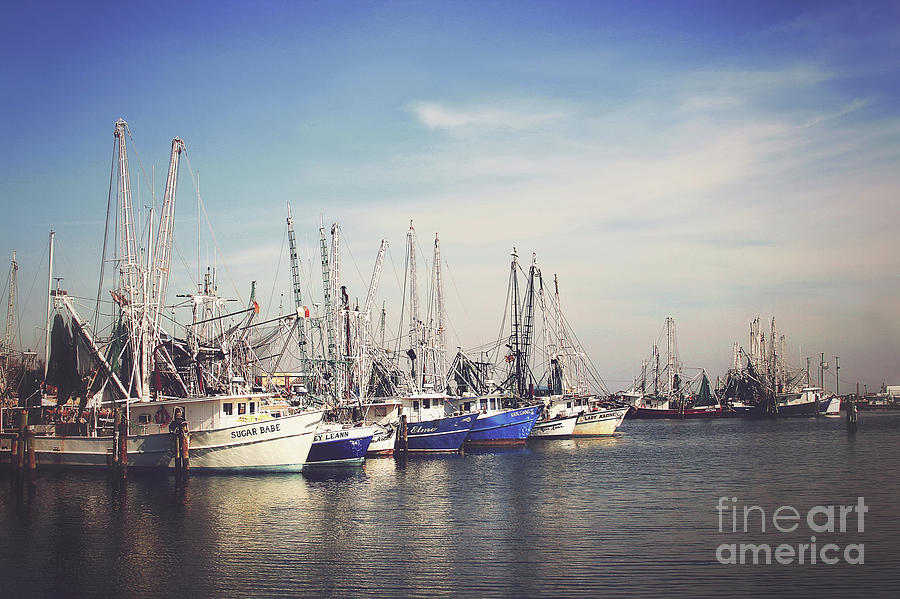Boat Photograph - Harbor Boats by Joan McCool