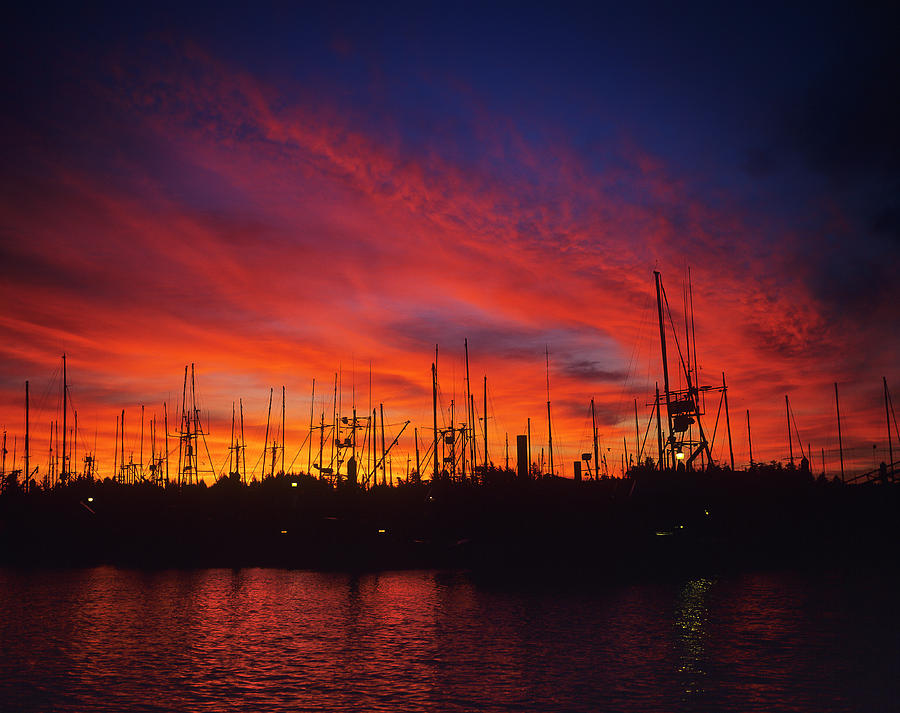Harbor Dawn Photograph by Robert Potts