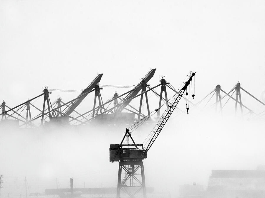Harbor in Fog Photograph by Joe Schofield