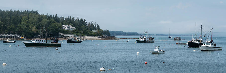 Summer Photograph - Harbor in Maine with commercial fishing boats moored by David Wood