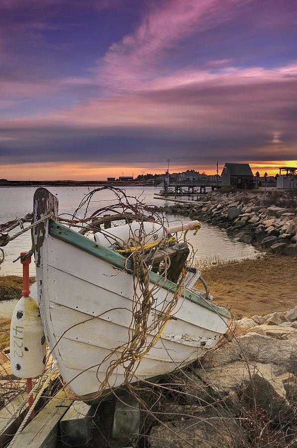 Harbor Relic Sweetpeas Return Photograph by Frameworthyfotography By Thadd