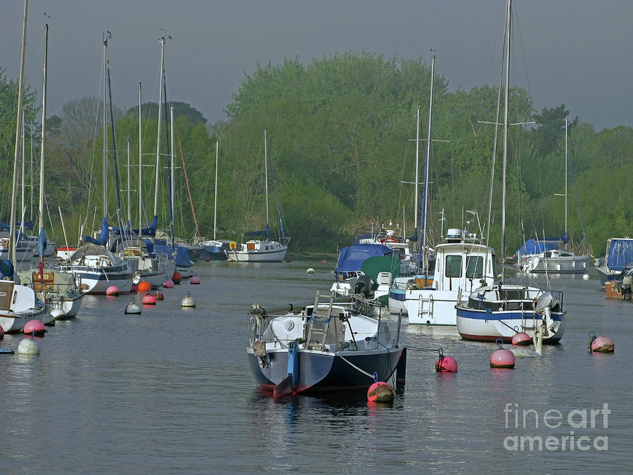 Boat Photograph - Harbor Rest by Ann Horn