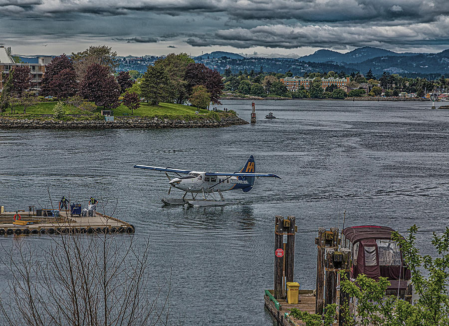 Harbour Air in Victoria Photograph by Darryl Brooks