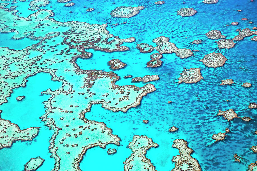 Hardy Reef In The Great Barrier Reef Photograph by Australian Scenics Hardy Reef In The Great Barrier Reef Photograph by Australian Scenics
