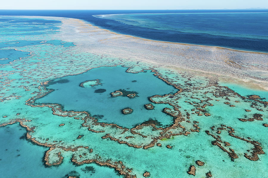 Hardy Reef The Great Barrier Reef Queensland Australia Photograph by ...