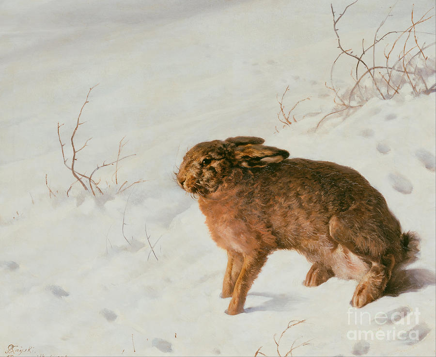 Hare In The Snow, 1875. Artist Rayski Drawing by Heritage Images