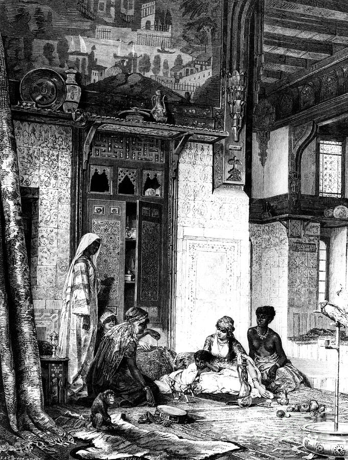 Harem In A Caliph Mansion, 1880 Drawing by Print Collector