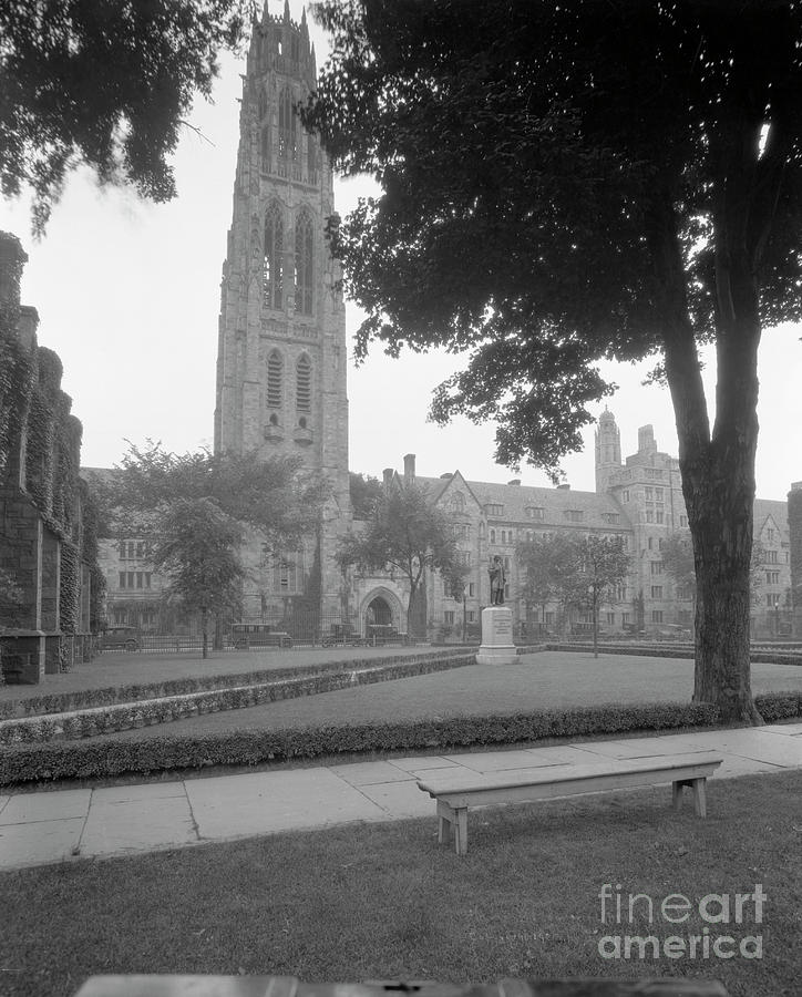 Harkness Memorial Building On Yale Photograph by Bettmann